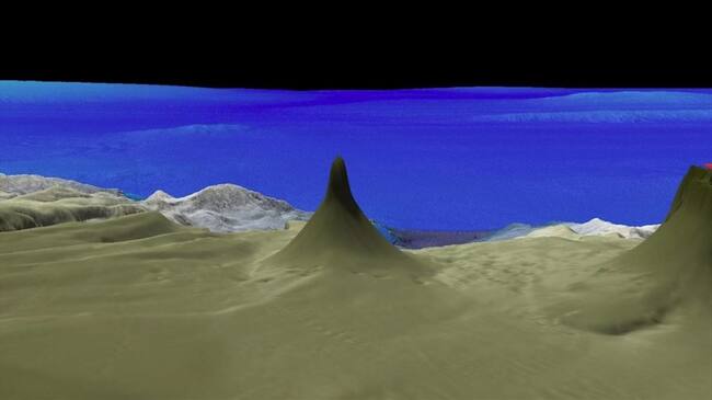 El descubrimiento de este nuevo arrecife de coral se suma a un año de descubrimientos submarinos realizados por Schmidt Ocean Institute. Foto: SCHMIDT OCEAN INSTITUTE - EUROPA PRESS