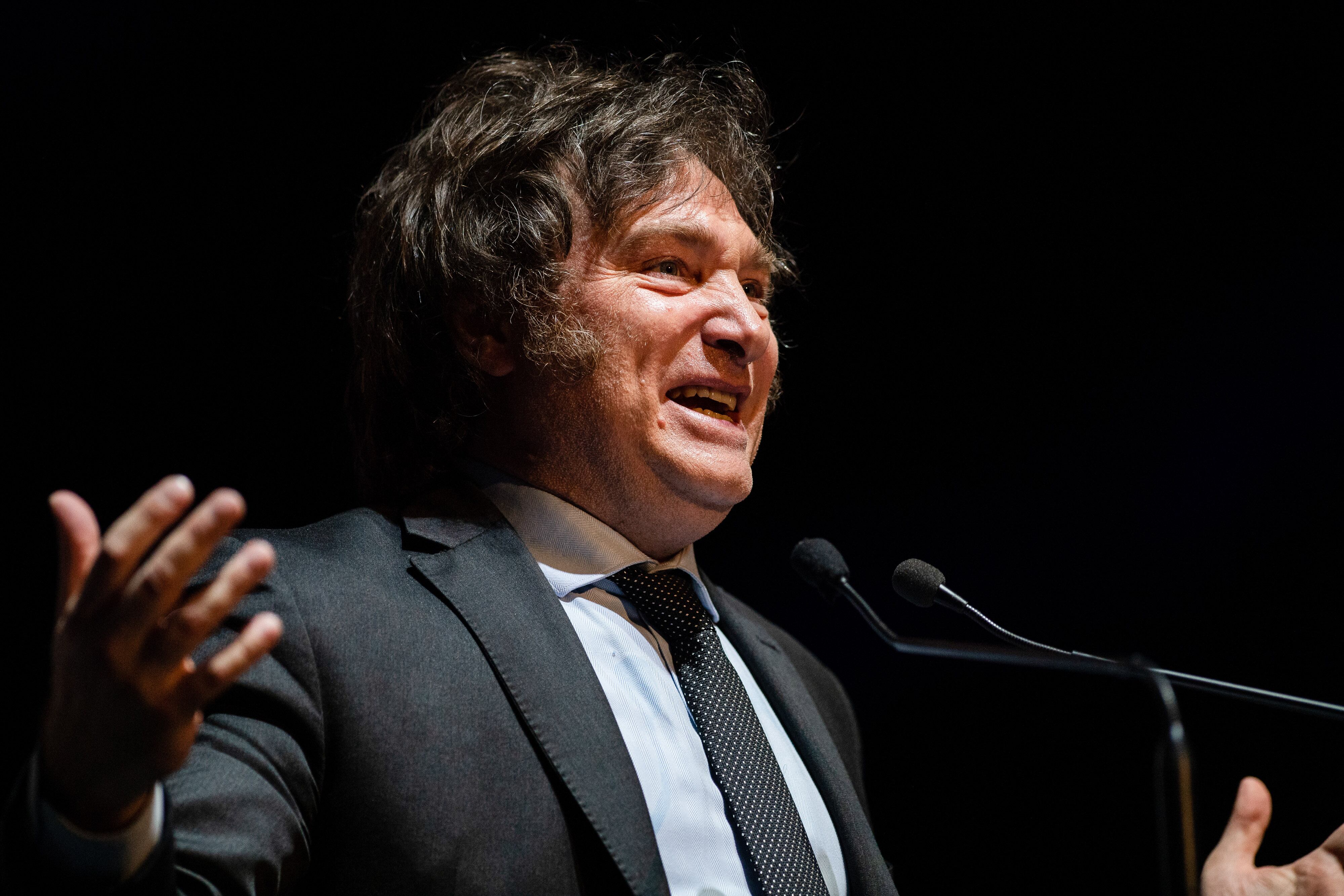 Referencia de Milei en campaña. Foto: Manuel Cortina/SOPA Images/LightRocket via Getty Images.