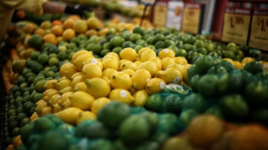 Según el Minagricutlura Colombia cuenta con 40 millones de hectáreas que pueden ser utilizadas en el agro.. Foto: Colprensa