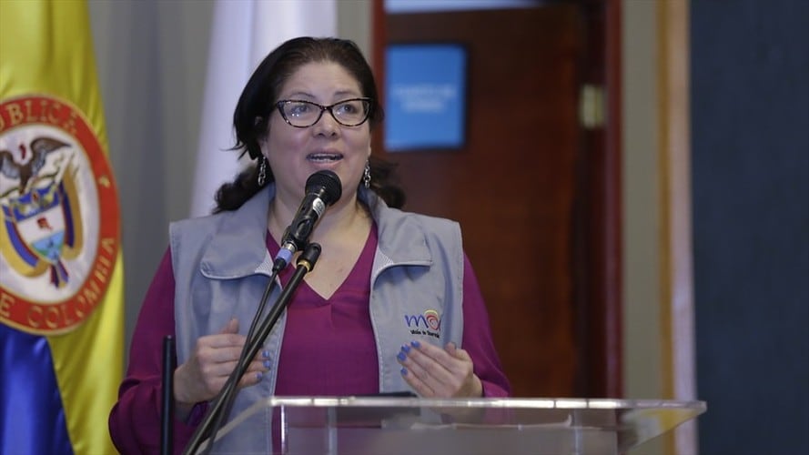 Directora de la Misión de Observación Electoral, Alejandra Barrios. Foto: Colprensa