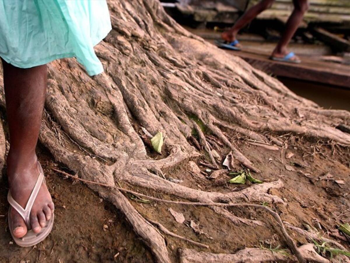 Cinco menores murieron en el Bajo Baudó, al parecer, por una infección gastrointestinal