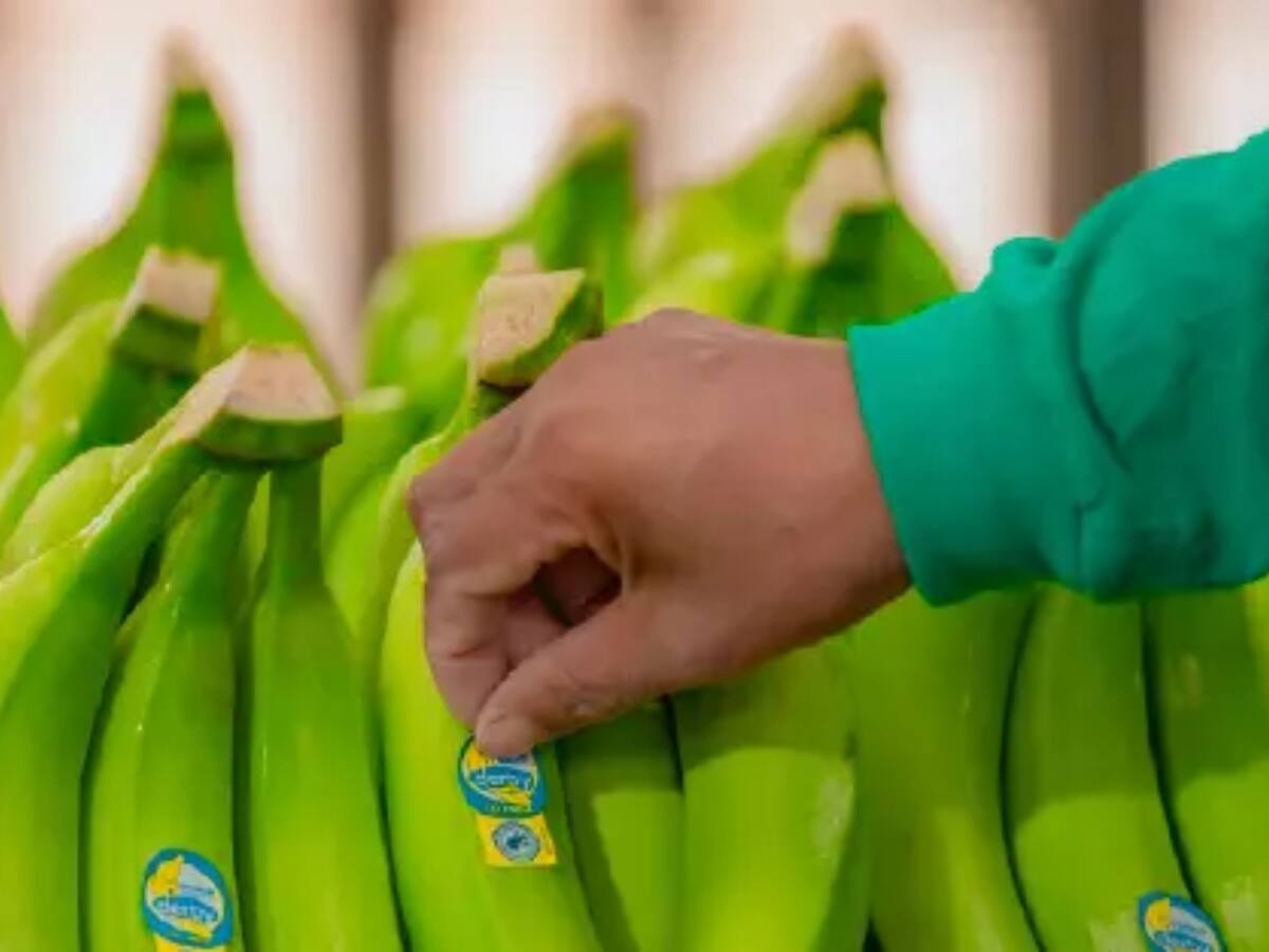 Unibán respondió a señalamientos sobre contrabando del abogado Salazar Pineda en La W