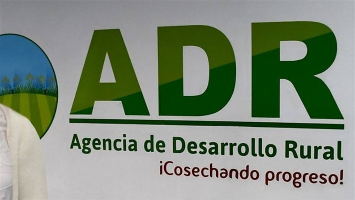 Producción de primeras tierras formalizadas tendrán acompañamiento de la ADR