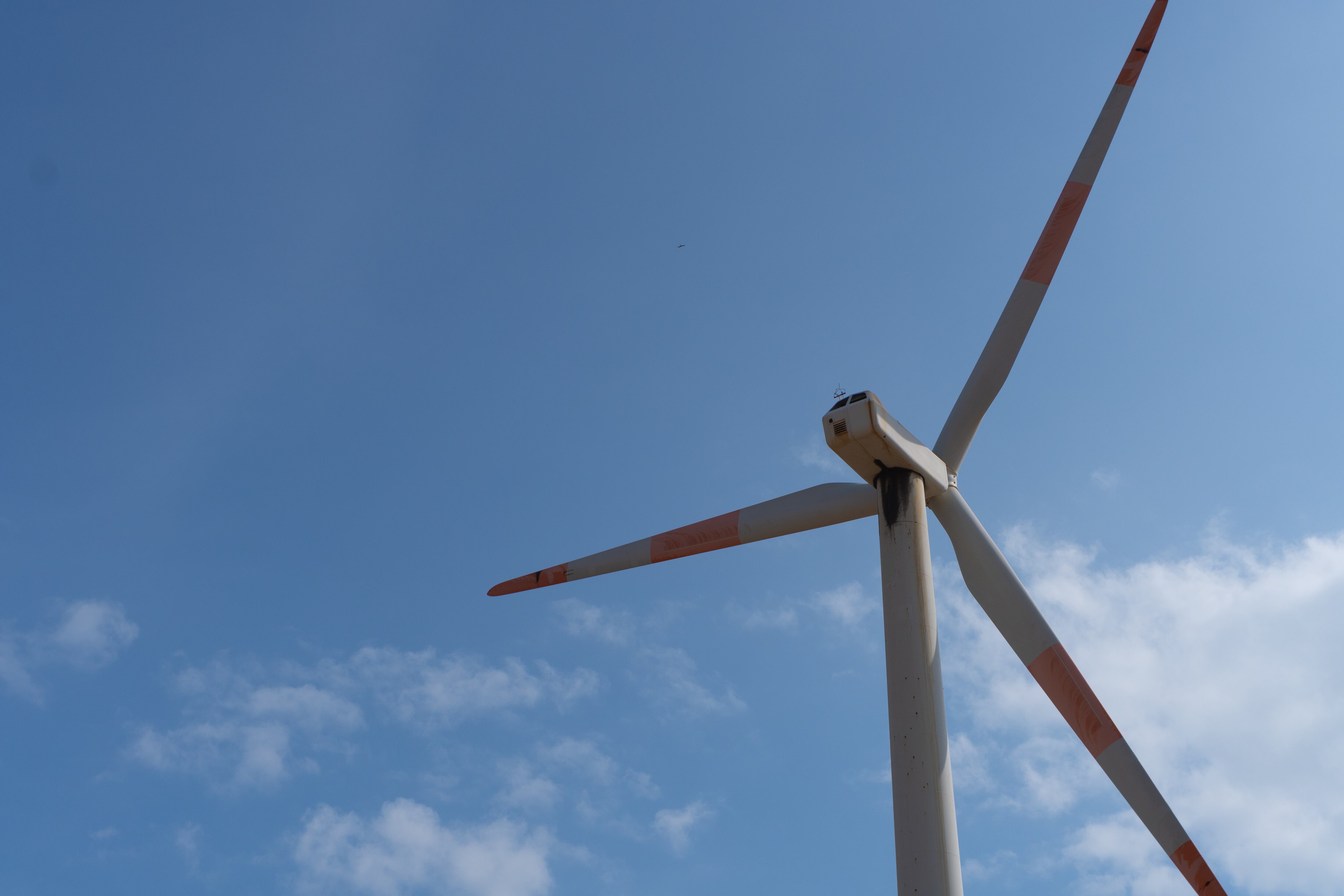 Wind farm in the desert by the sea in La Guajira, Colombia. Photo: Getty Images