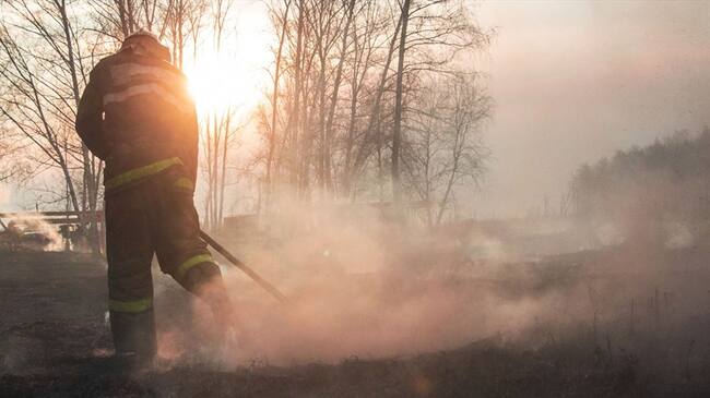 Los menores, entre los cuatro meses y los seis años, fueron encontrados por el cuerpo de bomberos en medio de los escombros. Foto: Getty Images