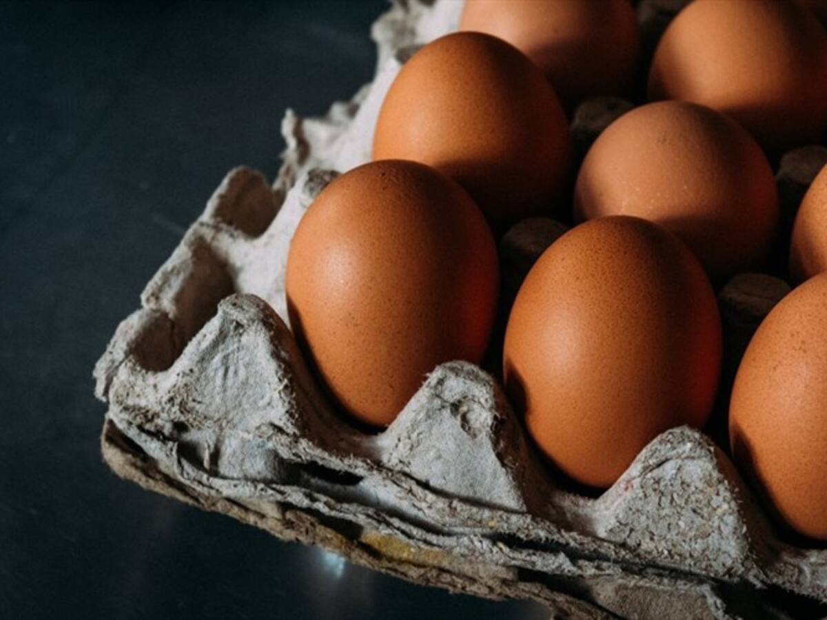 Empresa avícola en el Valle vendió docenas de huevos a $1.800