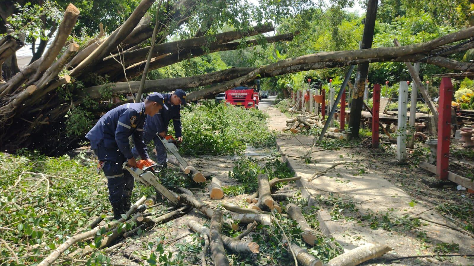 Lluvias e intensos vientos generaron emergencia en Montería. Foto: prensa Alcaldía Montería. 