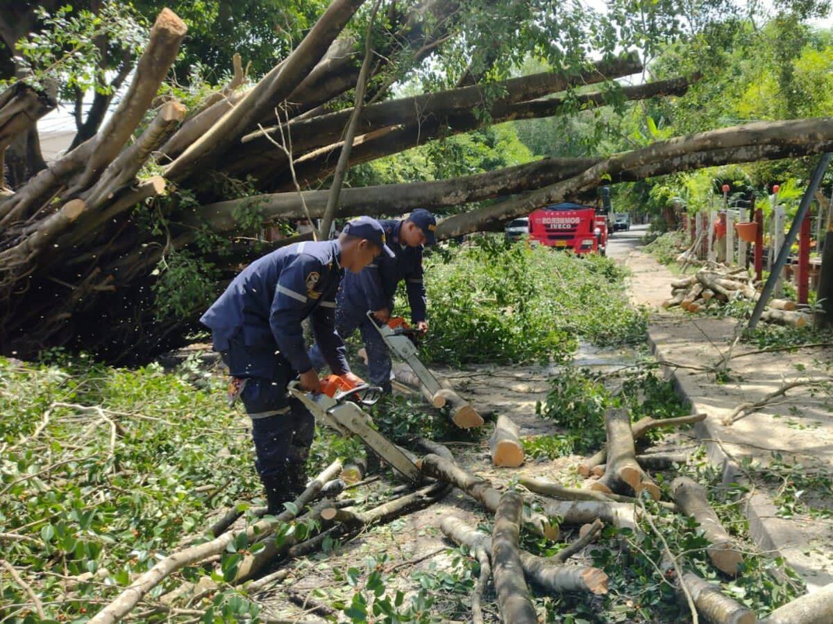 Lluvias e intensos vientos generaron emergencia en Montería