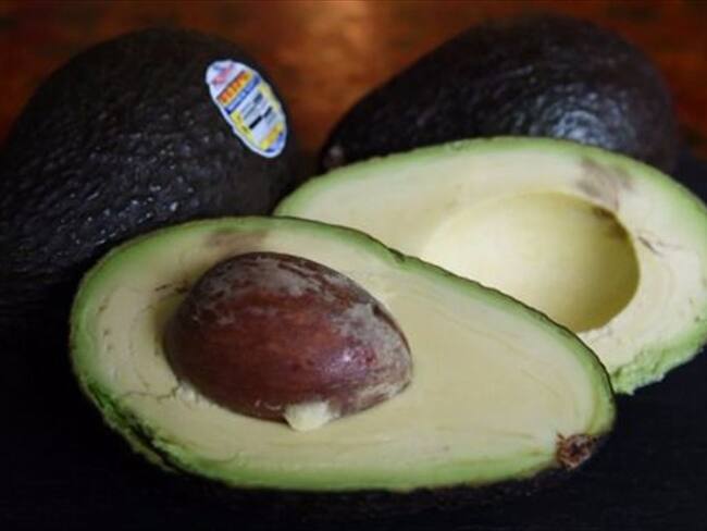 Aguacate, el "oro verde" de México. . Foto: Agencia AFP