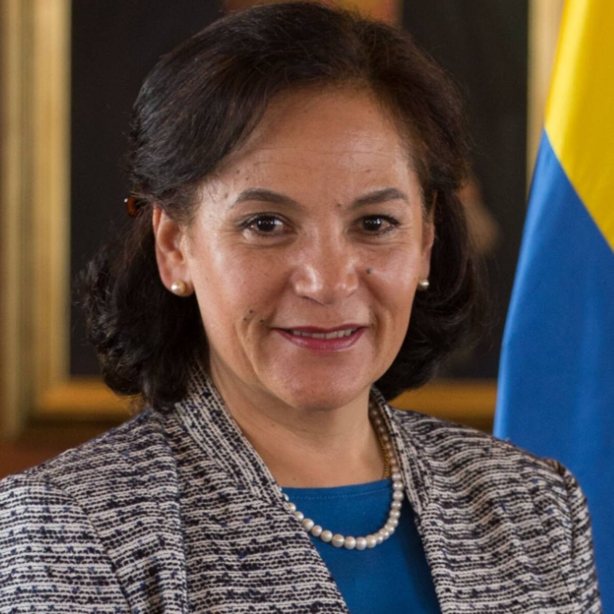 Corte Suprema de Justicia absuelve a Fulvia Benavides, cónsul de Colombia en Caracas