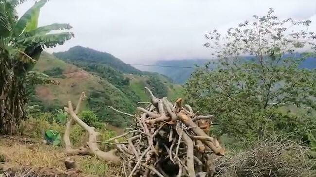 Los estudiantes vivieron momentos de zozobra con cada disparo de fusil. Crédito: Cortesía