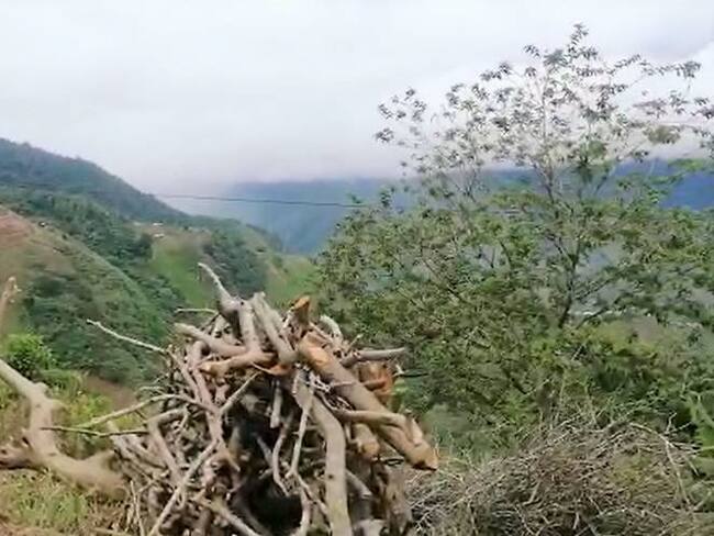 Los estudiantes vivieron momentos de zozobra con cada disparo de fusil. Crédito: Cortesía