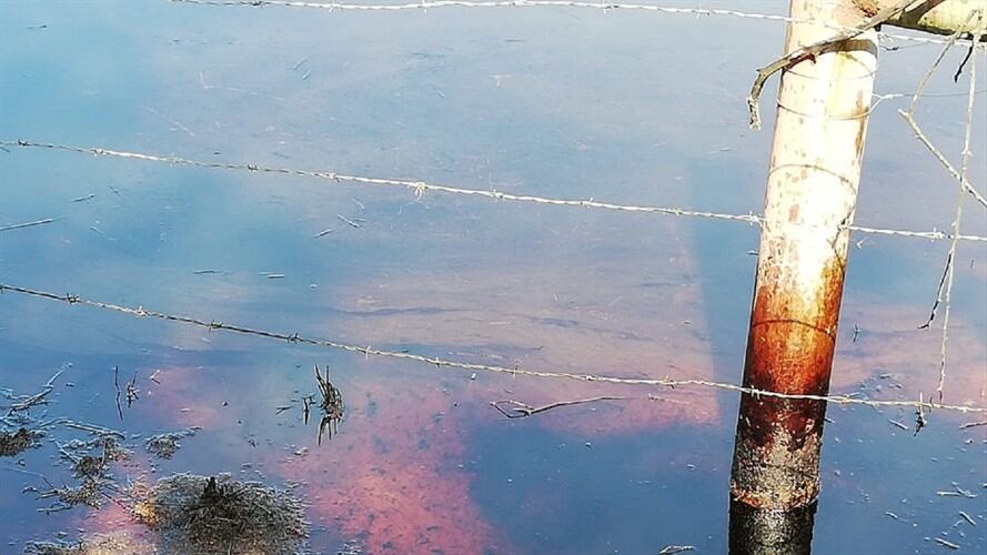 Derrame de crudo genera contaminación ambiental . Foto: Suministrada por la Corporación Silvestre Green.