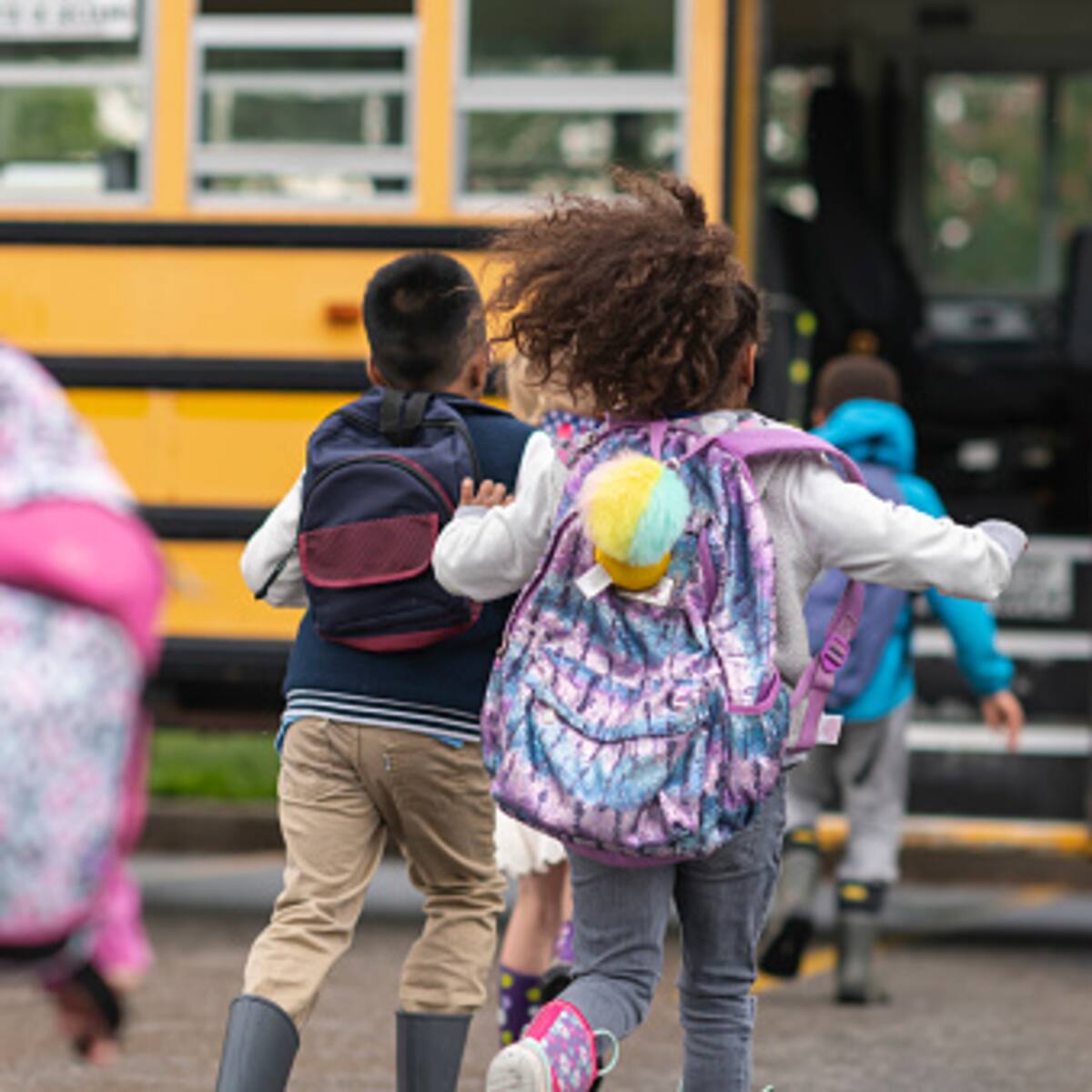 El MinTransporte pone la lupa sobre las rutas escolares del país