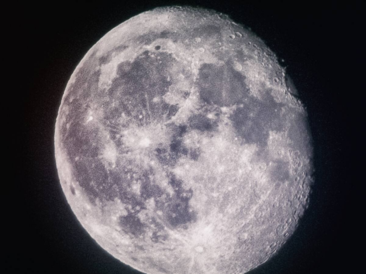 ¿A quién mandaría usted a la Luna?