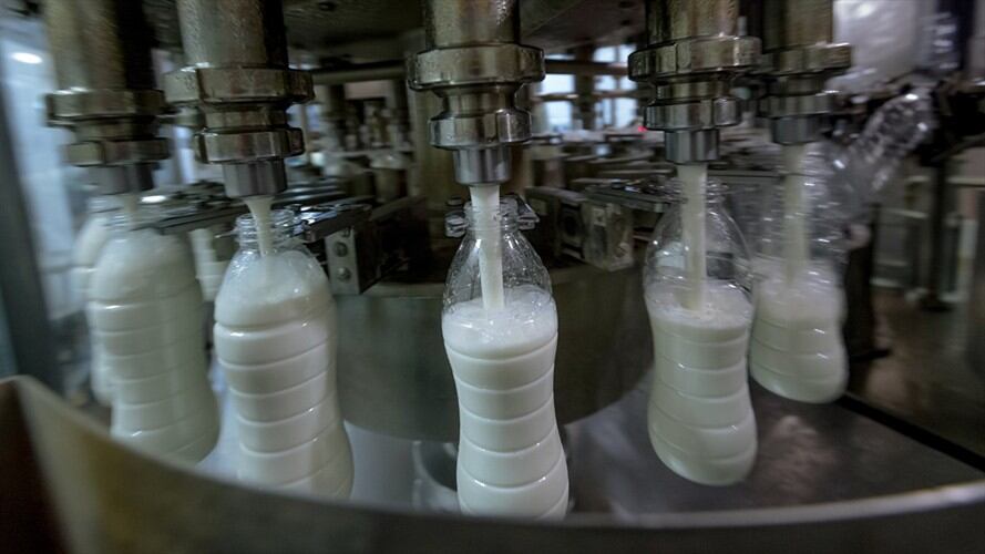 Sector lechero colombiano / imagen de referencia. Foto: Getty Images