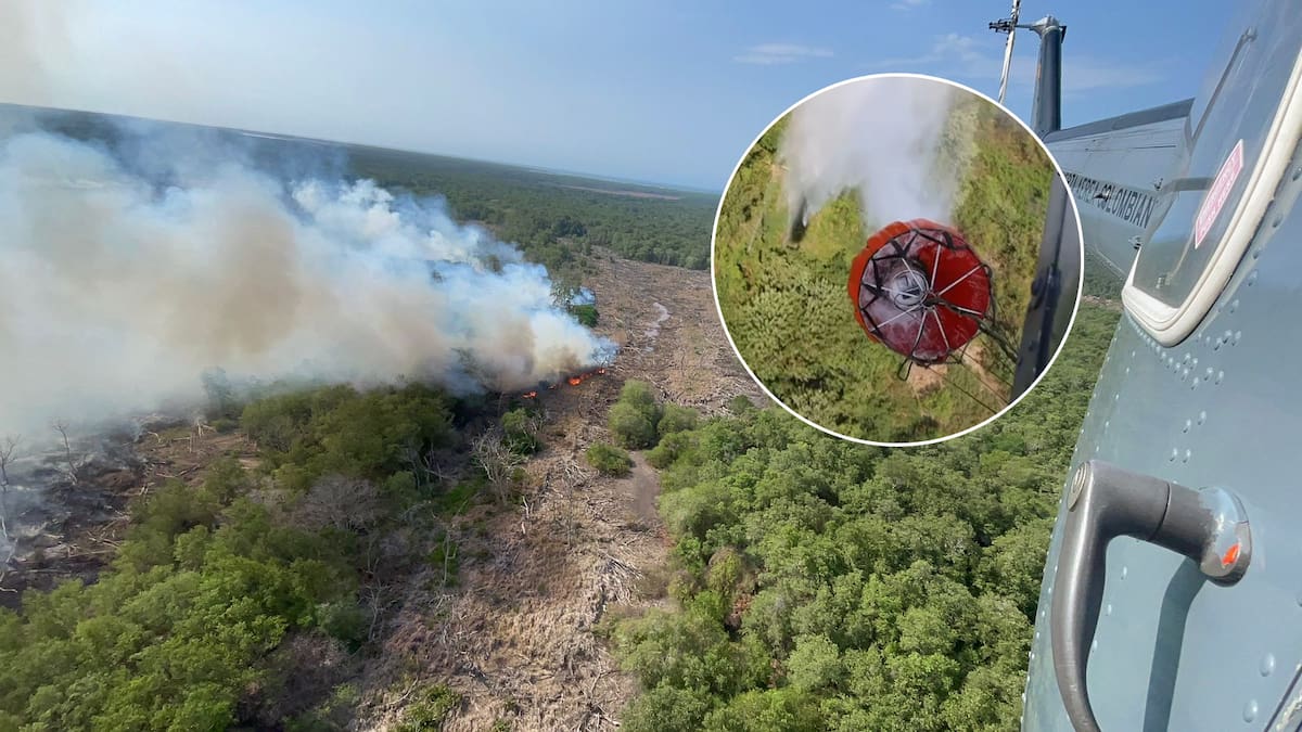 Extracción ilegal de carbón y caza: las causa del grave incendio en Isla Salamanca