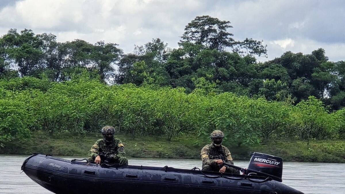 Incautaron tres toneladas de estupefacientes de los ‘Comandos de frontera’