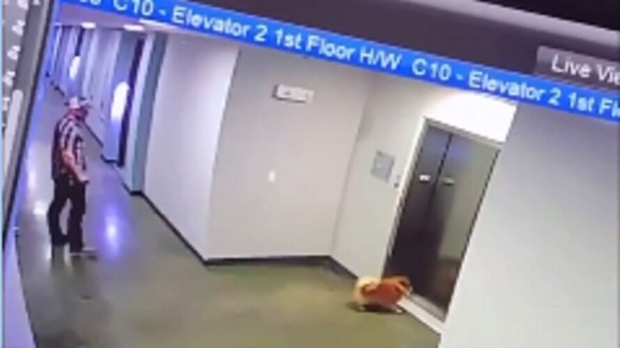 Conmovedor vídeo de hombre salvando a un perro . Foto: