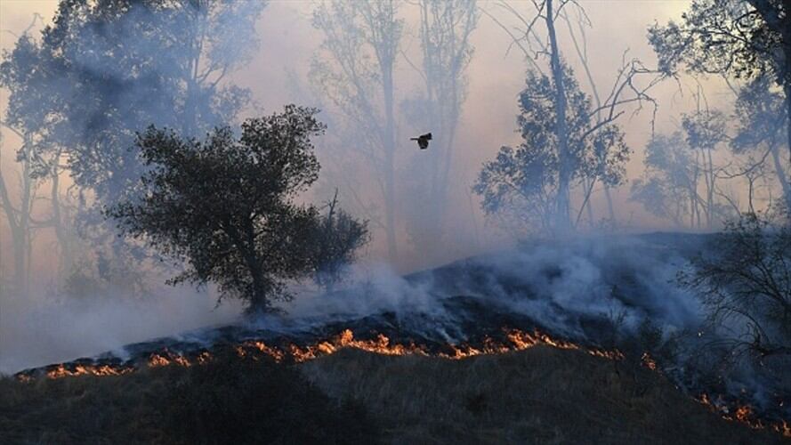 Ocho municipios están en alerta por posibles incendios forestales en Córdoba. Foto: Colprensa