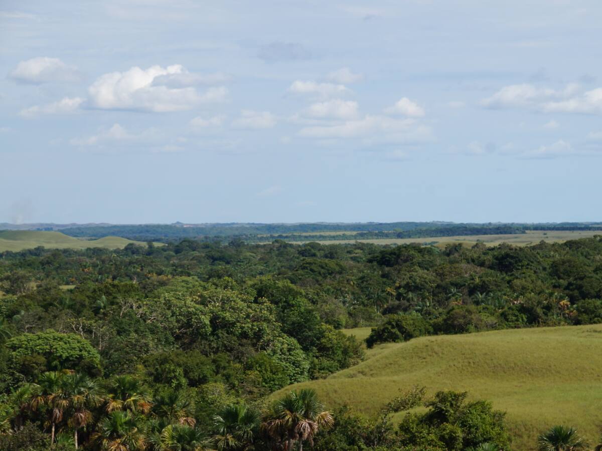Anunciaron nuevas acciones frente al delito de ocupación ilegal de tierras en el Atlántico