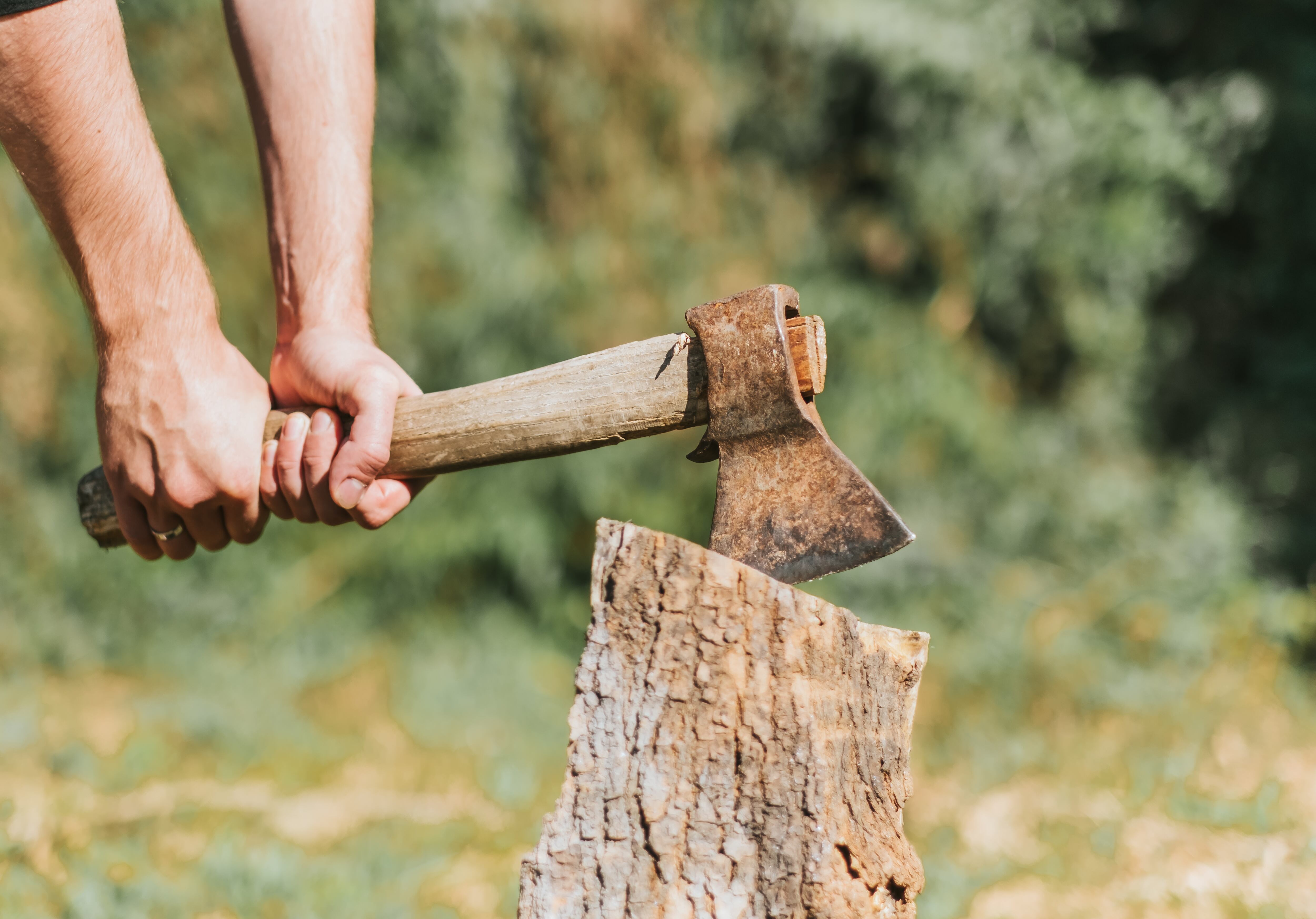 Man chopping tree in the yard outdoors..