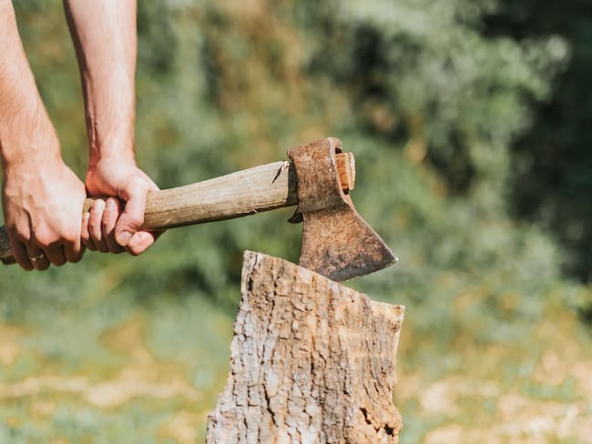 Man chopping tree in the yard outdoors..