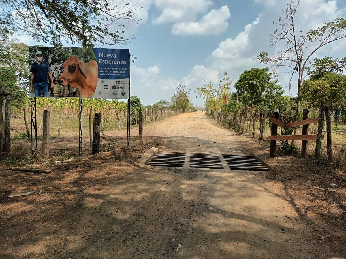 Finca donde entrenaron paramilitares hoy es un centro de acopio lechero en Córdoba