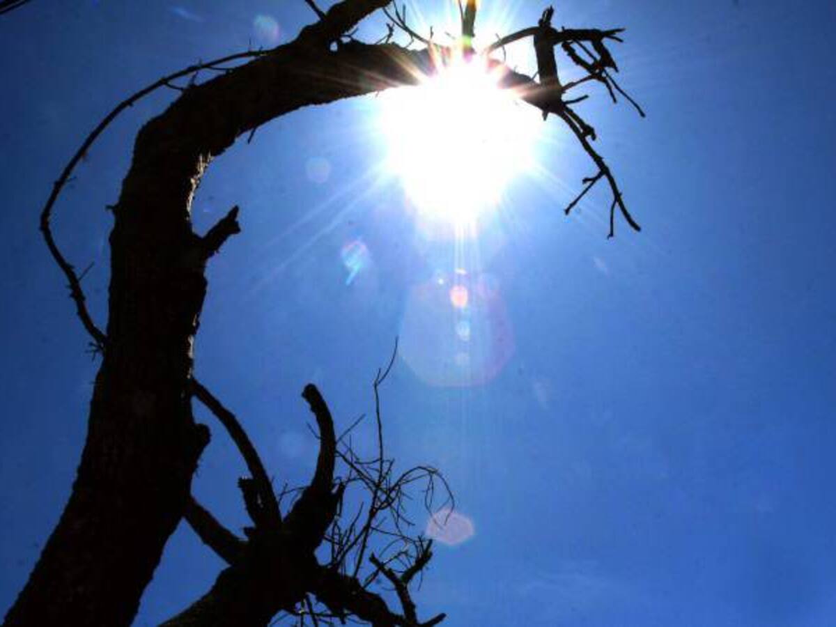 Diputados del Magdalena exigen acciones para mitigar el impacto del Fenómeno de El Niño