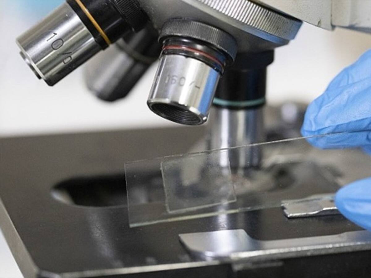 ¿Estamos preparados para enfrentar virus peores que el ébola?