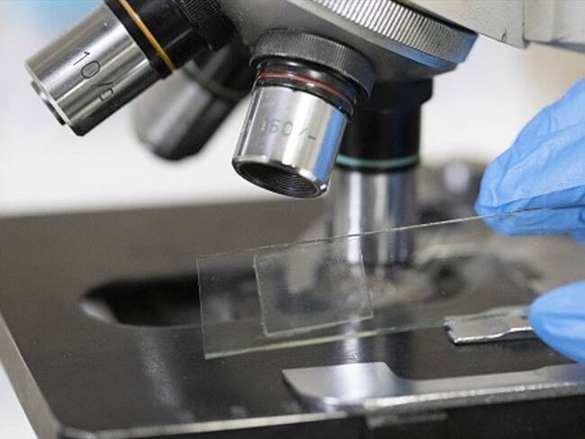 Discovery estrenará este fin de semana, Virus, la nueva serie que le permitirá a los televidentes conocer la verdad que se esconde detrás de tres grandes epidemias. Foto: Getty Images