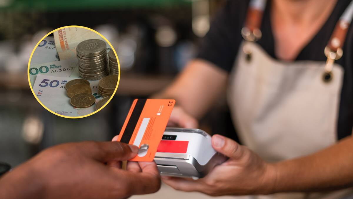 ¿Conoce los gastos hormiga? Podrían estar afectando sus finanzas: así los puede evitar