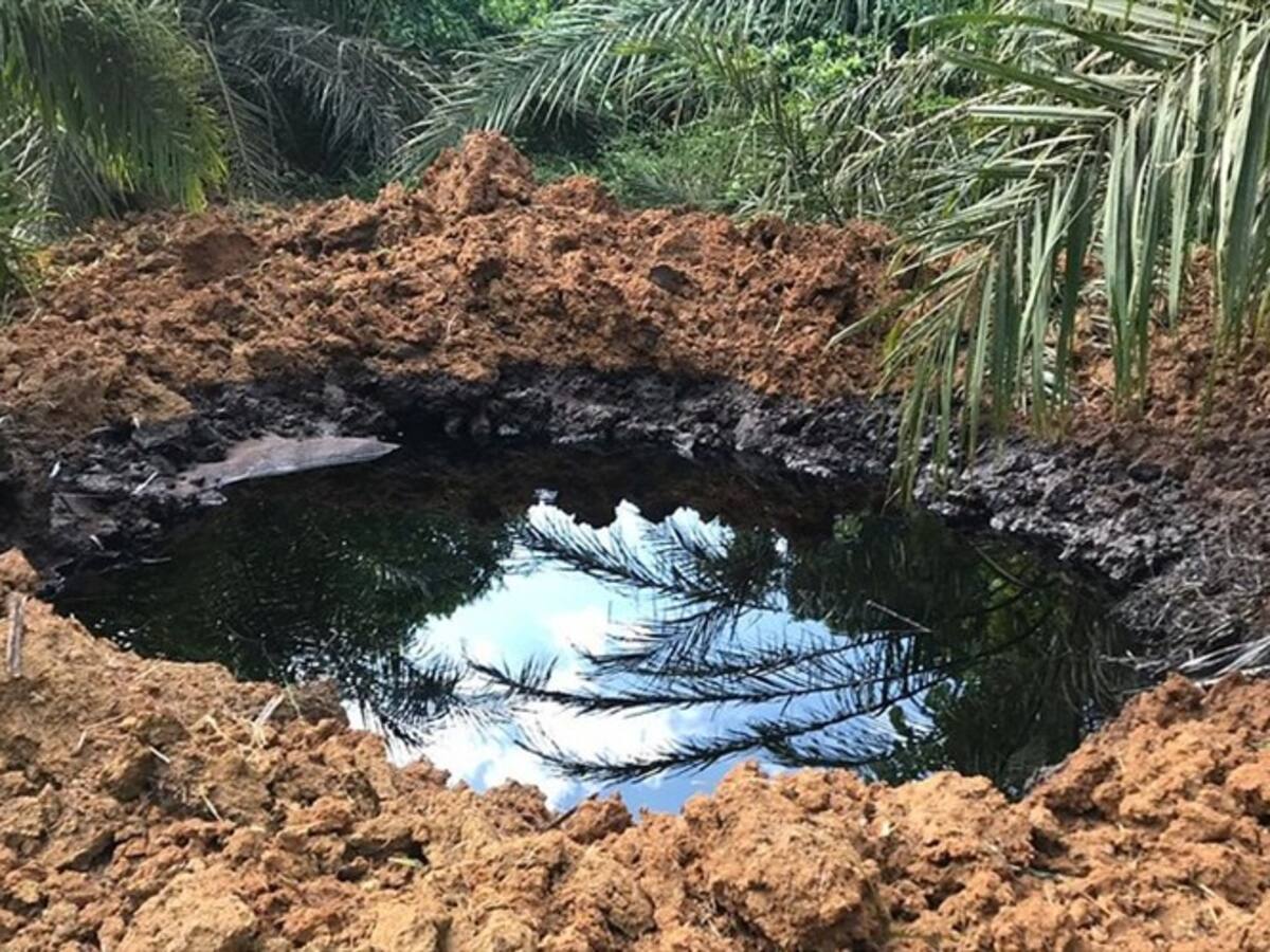 Nuevo atentado contra el oleoducto Caño Limón - Coveñas