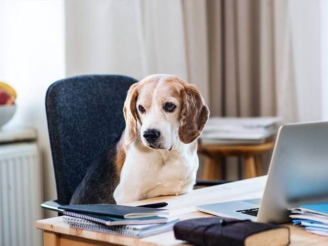 Imagen de referencia. Foto: Getty Images