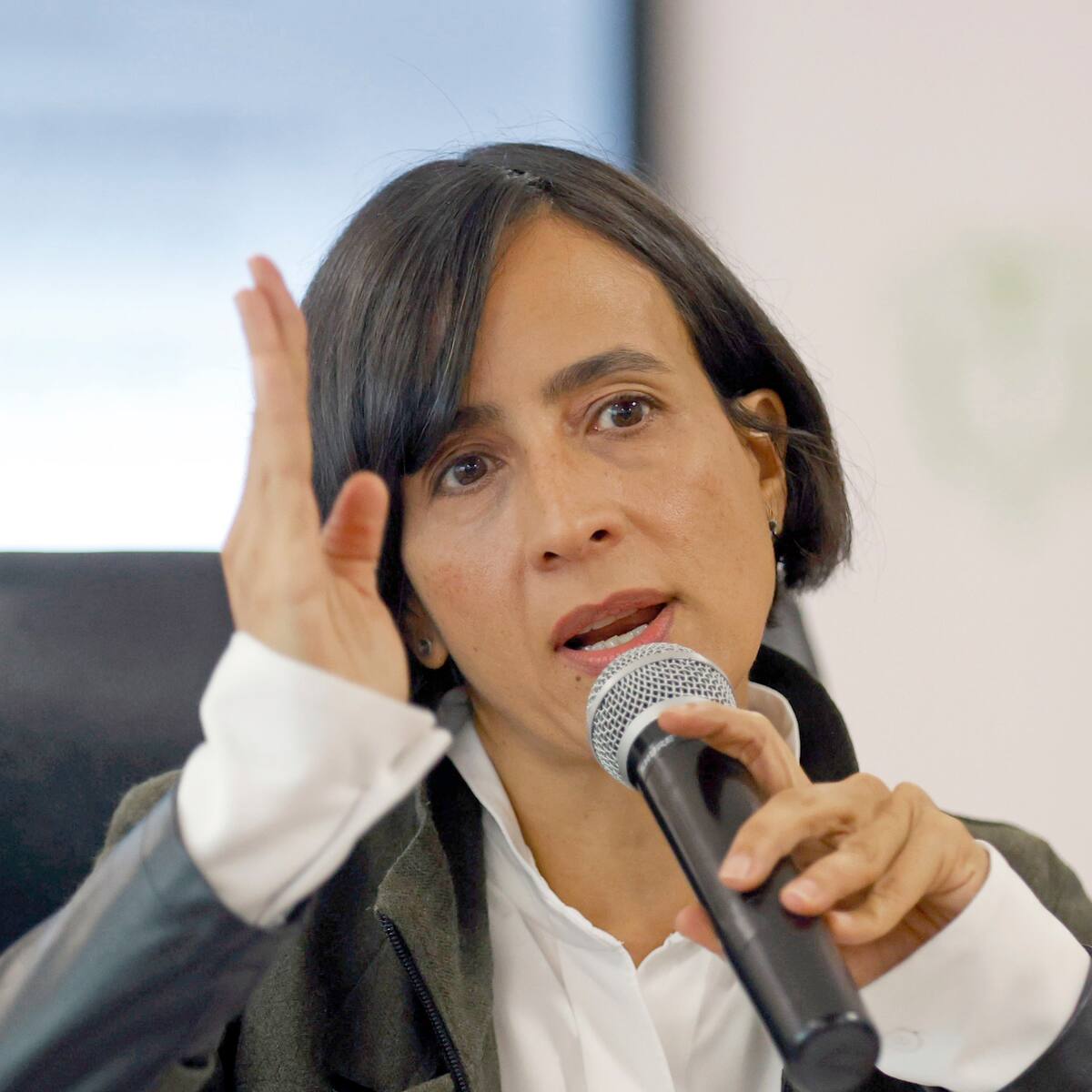 Gobernadora de Sucre pide a Susana Muhamad ser la “madrina” de La Mojana ante emergencias
