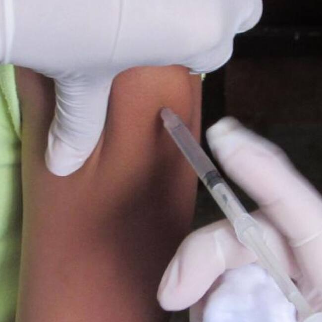 vacunaciòn/suministrada