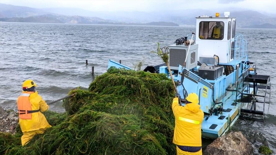 En las jornadas estarán funcionarios de Corpoboyacá, Cooservicios y Acerías Paz del Río.. Foto: Corpoboyacá