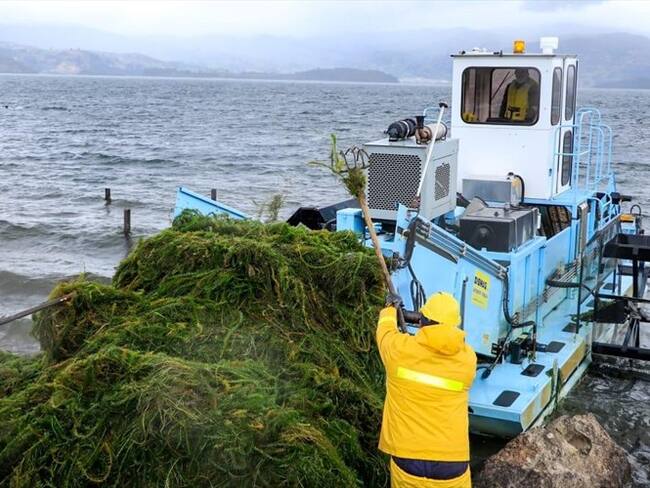 En las jornadas estarán funcionarios de Corpoboyacá, Cooservicios y Acerías Paz del Río.. Foto: Corpoboyacá