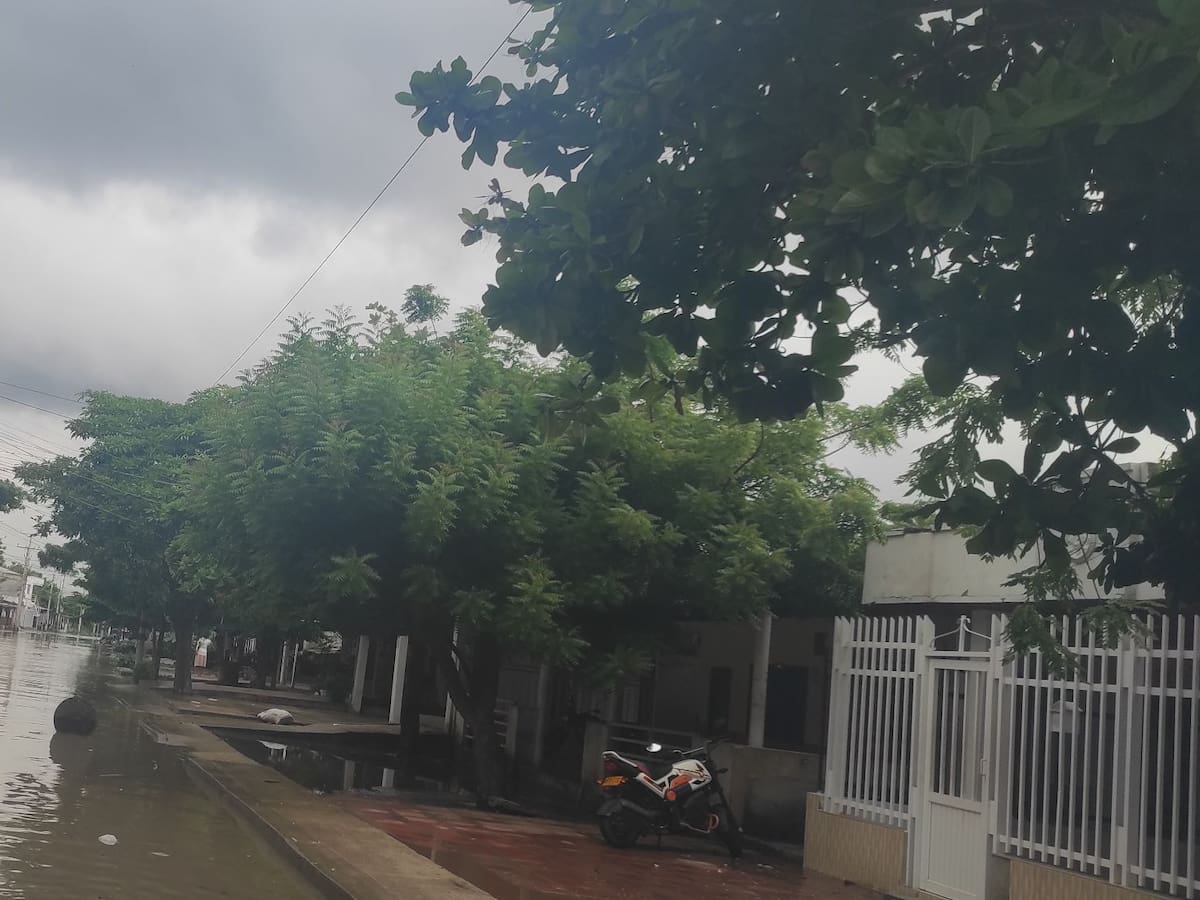 Obras del Puente Pumarejo estarían causando inundaciones a viviendas: Veeduría