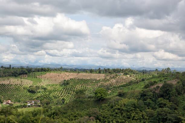 Imagen de referencia/ Getty Images