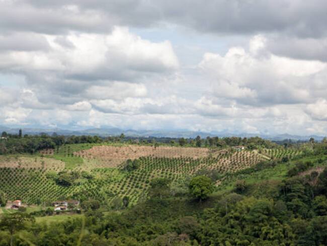 Imagen de referencia/ Getty Images