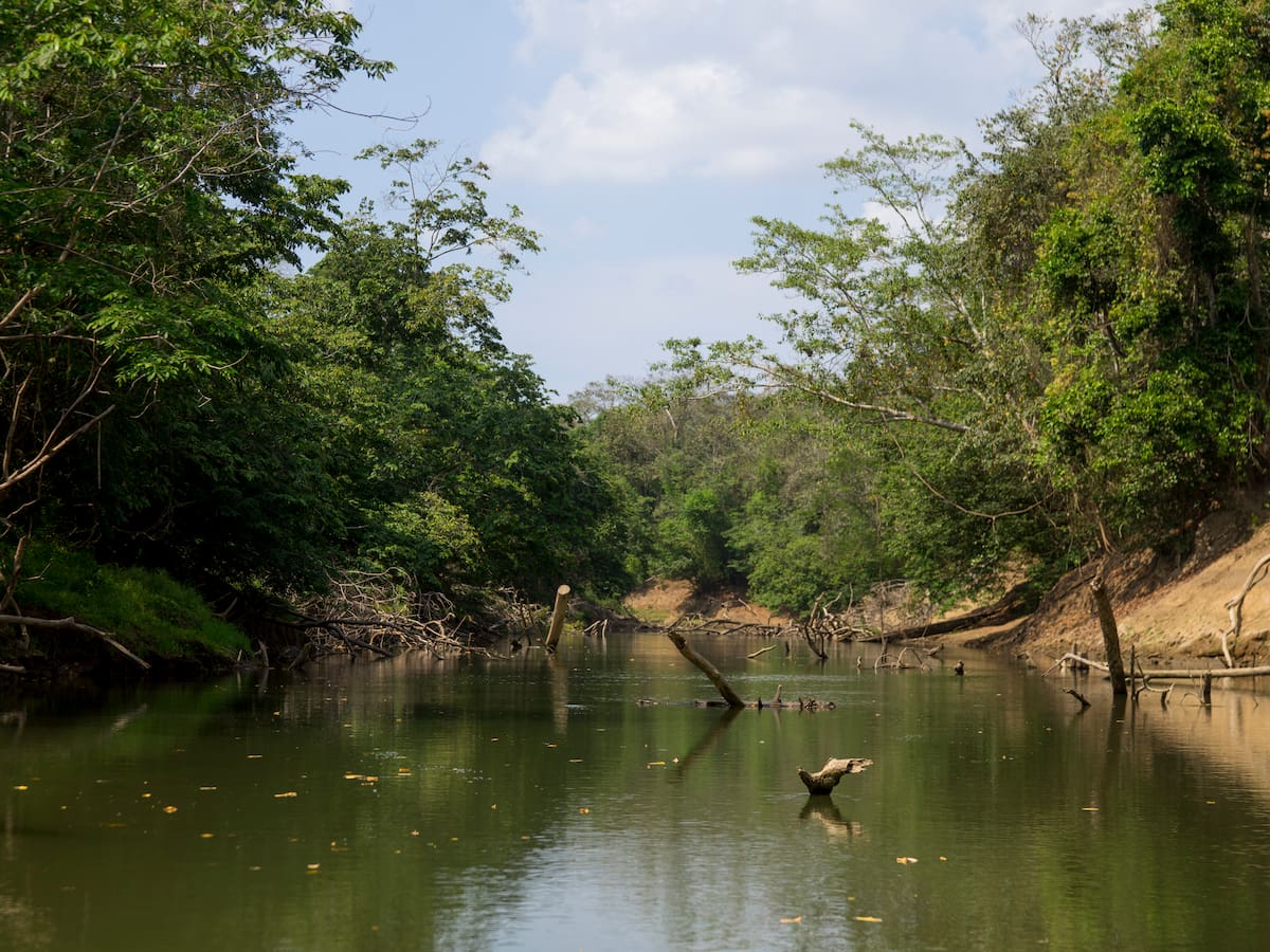 Panamá dice que Colombia “no hace nada” por la crisis migratoria del Darién