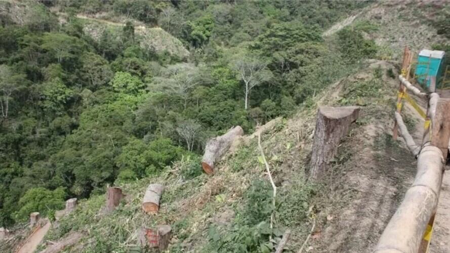 Conectante c1 c2 . Foto: Suministrada.