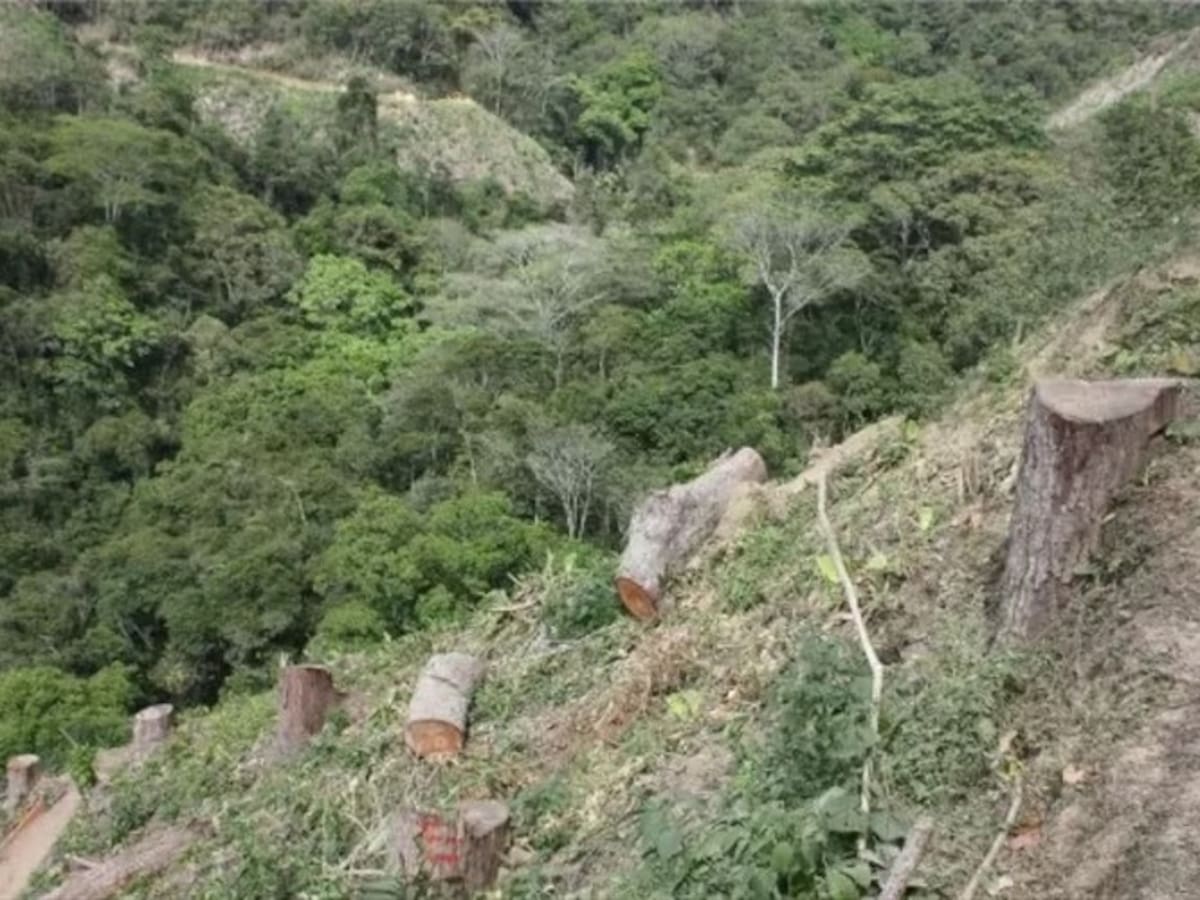 Comité de los Cerros Orientales protestará en contra de la Conectante C1- C2