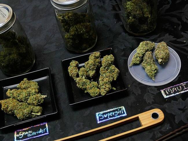 Son 40 mil personas que están trabajando con la industria del cannabis: Brian Vicente