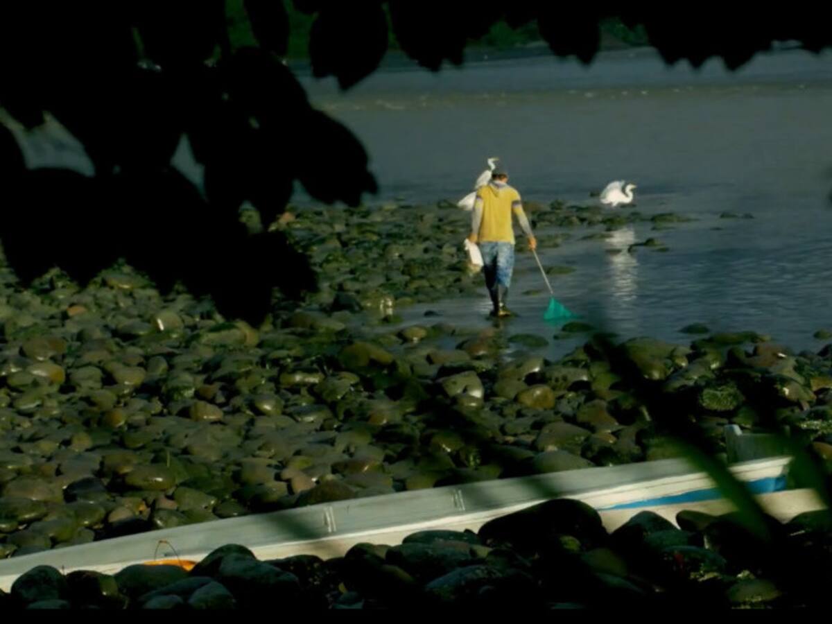 Publican documental que aportó al informe final de la Comisión de la Verdad