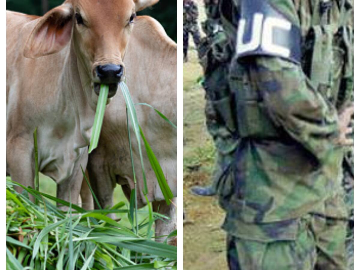 Sor Teresa lo primero que hacía era poner un revólver sobre la mesa: víctima sobre caso Fondo Ganadero de Córdoba