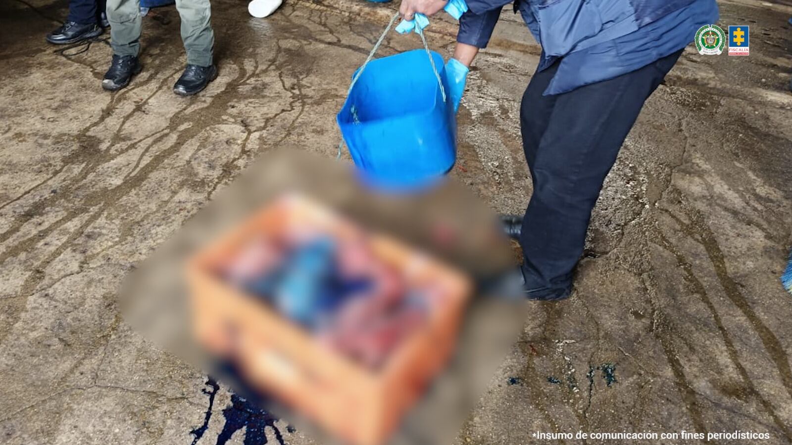 En la vereda Sasa, en Chiquinquirá (Boyacá), la Fiscalía General de la Nación en coordinación con la Policía Nacional, desmanteló la red delictiva dedicada al sacrificio ilegal de reses, caballos y asnos / Foto: Fiscalía General de la Nación.