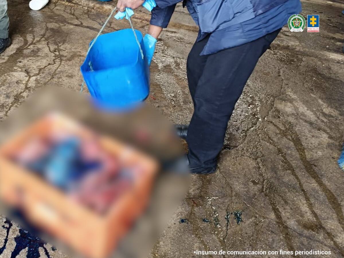 Desarticulada red clandestina de sacrificio y distribución de carne en Boyacá