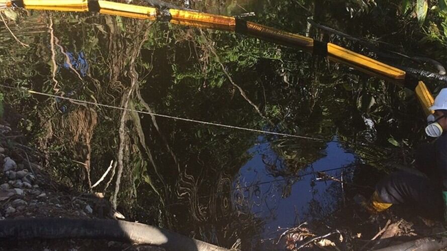 Imagen de referencia. Foto: Colprensa